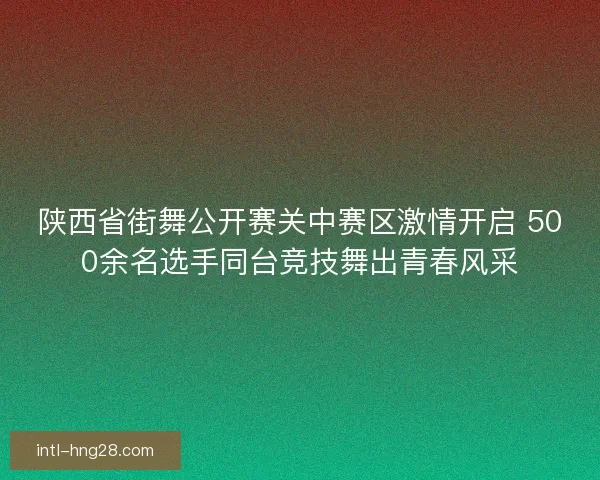 陕西省街舞公开赛关中赛区激情开启 500余名选手同台竞技舞出青春风采