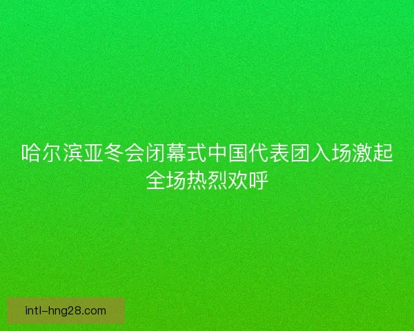 哈尔滨亚冬会闭幕式中国代表团入场激起全场热烈欢呼
